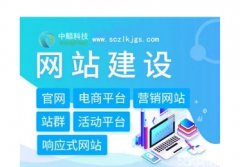 网站基础维护、网站安全维护、网络基础维护等 专业/专注/高效